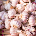 Garlic, #garlic - MareMakom