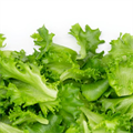 Lettuce, #lettuce - MareMakom
