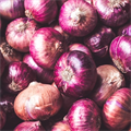 Onion, #onion - MareMakom
