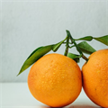 Orange, #orange - MareMakom