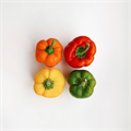 Pepper, #pepper - MareMakom